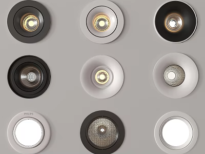 Stylish Black and White Downlights Spotlights in Modern Design for Home Ceiling 3d model