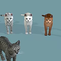 Various Breeds and Colored Cats with Distinct Patterns Standing on Blue Background