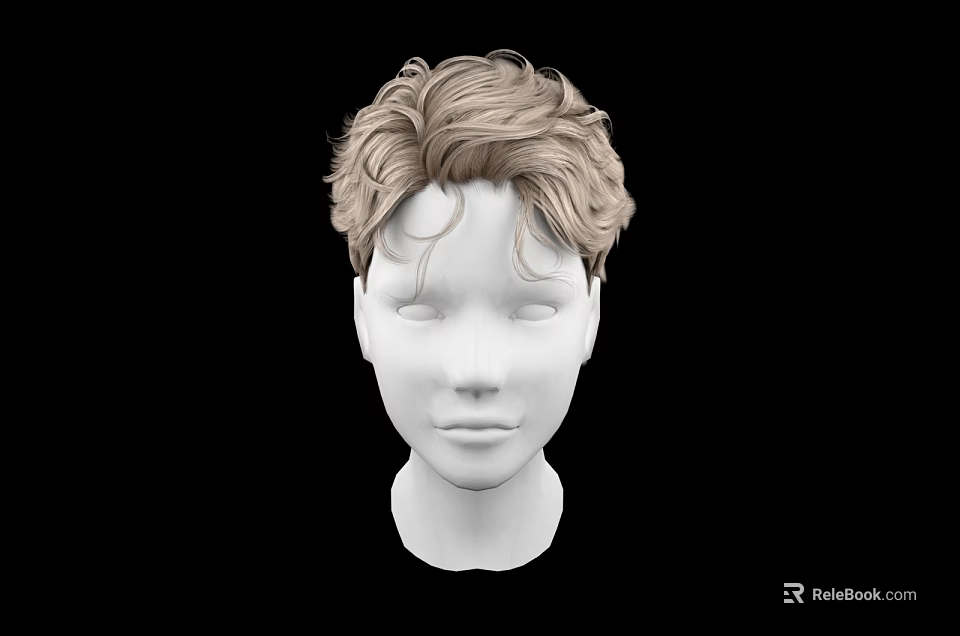 Realistic Human Head Model With Light Brown Curly Hair And Facial Features 3d model 