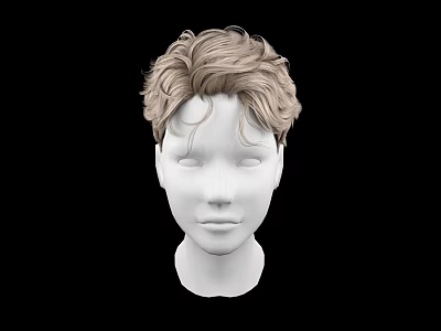 Realistic Human Head Model With Light Brown Curly Hair And Facial Features 3d model