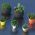 Colorful Potted Bonsai Plants With Green Foliage And Small Purple Pink Flowers