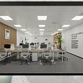 Modern Public Office Space With Workstations Ergonomic Chairs Green Plants And Wooden Bookshelves