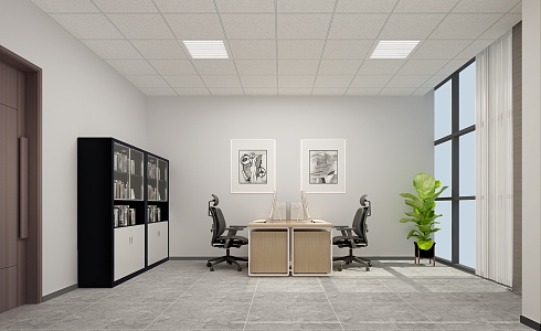 Modern Office Double Office 3d model