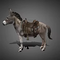 Gray Donkey Standing With Brown Leather Saddle On Gray Background 3d model