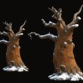 Two Leafless Trees In Snow Covered Tree Pit With Black Background