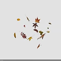 Beautiful Colorful Fall Leaves in Various Shapes Floating on Black Background
