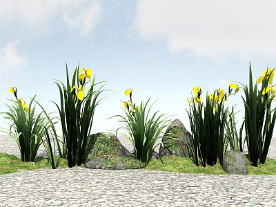 Yellow Flowers With Green Leaves And Stones On Paved Ground Under Cloudy Sky 3d model
