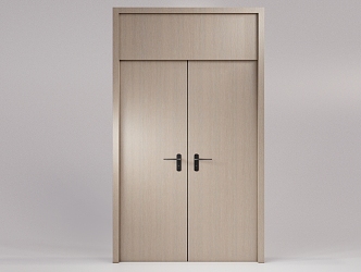 DOOR 3d model