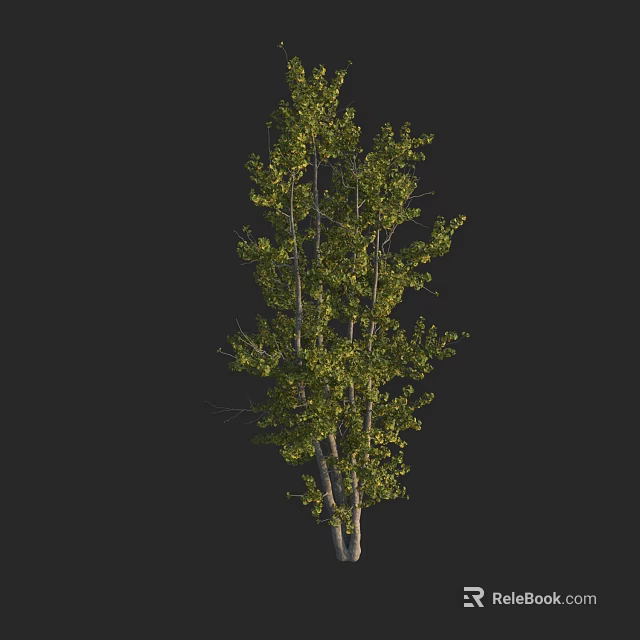 Lush Arbor With Green Leaves And Multiple Trunks In Natural Scene 3d model 