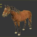 Brown Horse With Black Mane Wearing Bridle Standing Against Gray Background