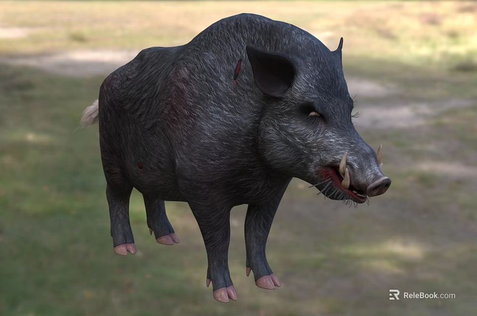 Wild Boar With Sharp Tusks Standing On Green Grass Field 3d model 