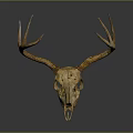 Modern Skull Animal Bone Fossil Antler 3d model