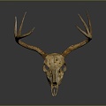 Modern Skull Animal Bone Fossil Antler 3d model