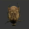 Shiny Brown Beetle With Textured Body Green Legs And Reflective Surface
