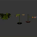 Colorful Plant Composition With Green Leaves Red Green Foliage Yellow Star Shaped Flower And Stems