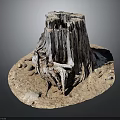 Ancient Tree Stump With Rough Wood Texture Surrounded By Dirt And Small Stones