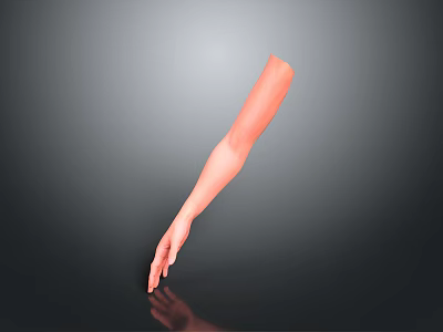 Detailed Human Arm Organ Model Displaying Skin Texture and Fine Hair Features 3d model