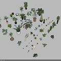 Diverse Bonsai and Potted Plants Collection With Various Sizes Shapes and Pot Styles