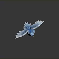 Flying Animal Blue Bird With Spread Wings And Shiny Feathers On Dark Background