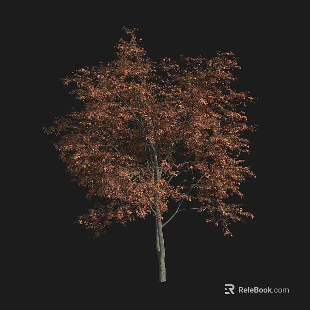 Autumn Arbor With Vibrant Red Orange Leaves And Slender Trunk 3d model 