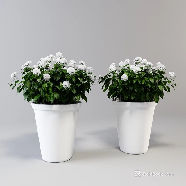 Decorative Bonsai Potted Plants in White Pots with Green Leaves and White Spherical Flowers 3d model 