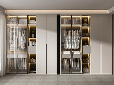 Modern Built in Wardrobe Interior Design With Glass Doors Hanging Clothes Shelves And Lighting 3d model