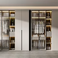 Modern Built in Wardrobe Interior Design With Glass Doors Hanging Clothes Shelves And Lighting