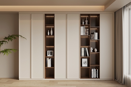 Middle Style Bookcase 3d model