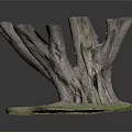 Natural Wood Tree Stump And Stone Base Decorative Art With Textured Design