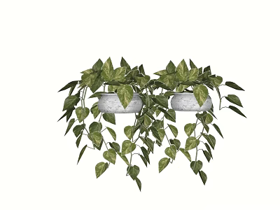Hanging Bonsai Potted Plants With Green Vining Leaves In White Ceramic Pots 3d model