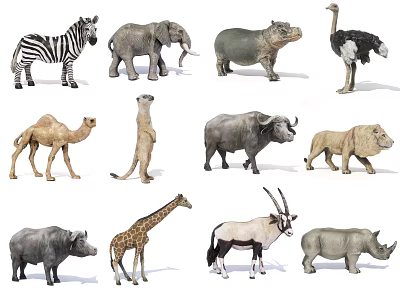 low mode african wildlife zebra elephant hippo ostrich camel buffalo lion rhino giraffe antelope 3d model