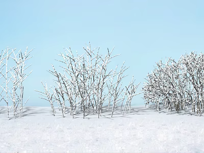 Snow Covered Flowering Branches In Winter Landscape With Blue Sky 3d model