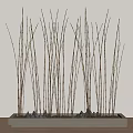 Bamboo Plants in Rectangular Planter with Small Stones and Green Leaves for Indoor Decor