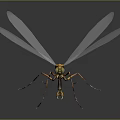 Bright Orange Bodied Dragonfly With Transparent White Wings Against Dark Background
