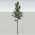 Tall Arbor Standing In Open Ground With Blue Sky And White Clouds 3d model