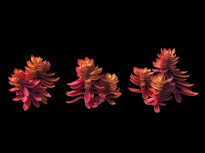Vibrant Red and Orange Bonsai Potted Plants with Layered Leaves on Black Background 3d model