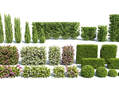 Different Types Of Pruned Flowering Shrubs With Various Shapes For Landscaping 3d model