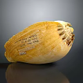 Detailed Yellow Plant Seed Shaped Sculpture With Carved Inscriptions And Numbers