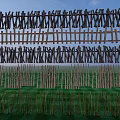 Various Wooden Fence Designs With Green Grass Field And Blue Sky