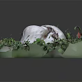 Fresh Green Vegetable Leaves Arranged On Transparent Base With Small Plants