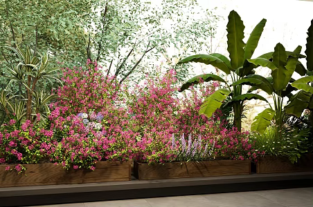 Plant Potted Flower Box Bougainvillea Flowering Green Plant Bonsai 3d model