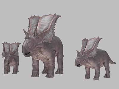 Gray Triceratops Reptile Models With Frills Horns And Different Sizes 3d model