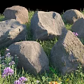 Natural Ground Cover with Large Stones Lush Green Grass and Vibrant Purple Blue Flowers