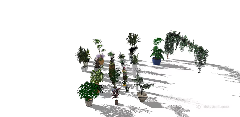 Bonsai and Potted Plants Collection With Various Green Species And Decorative Pots 3d model 