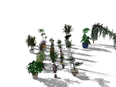 Bonsai and Potted Plants Collection With Various Green Species And Decorative Pots 3d model