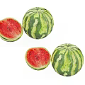 Fresh Juicy Watermelon Whole and Sliced with Red Flesh Healthy Summer Fruit Snack