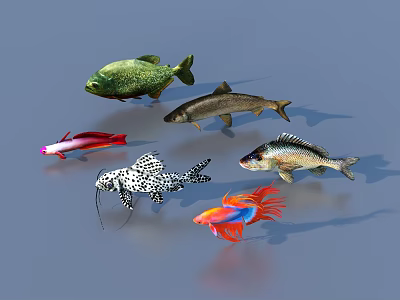 Various Aquatic Fish Species With Colorful Patterns Diverse Shapes And Vibrant Hues 3d model