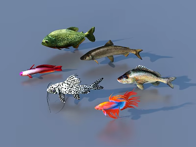 Fish Freshwater Fish Sea Fish Animal Game Animal 3d model