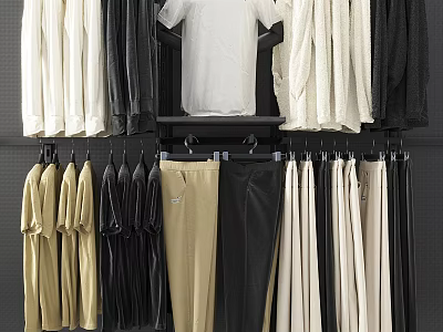 Hanging Clothes In Various Colors With Tops And Pants Neatly Displayed 3d model