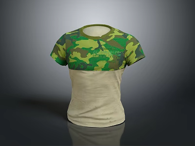 Camo And Beige Short Sleeve T Shirt Featuring Contrast Panel Design 3d model